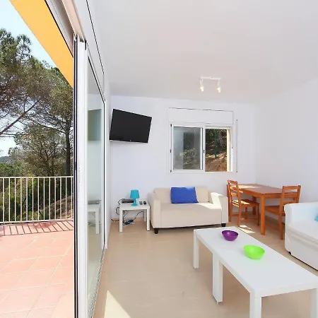 Holiday Ocelea